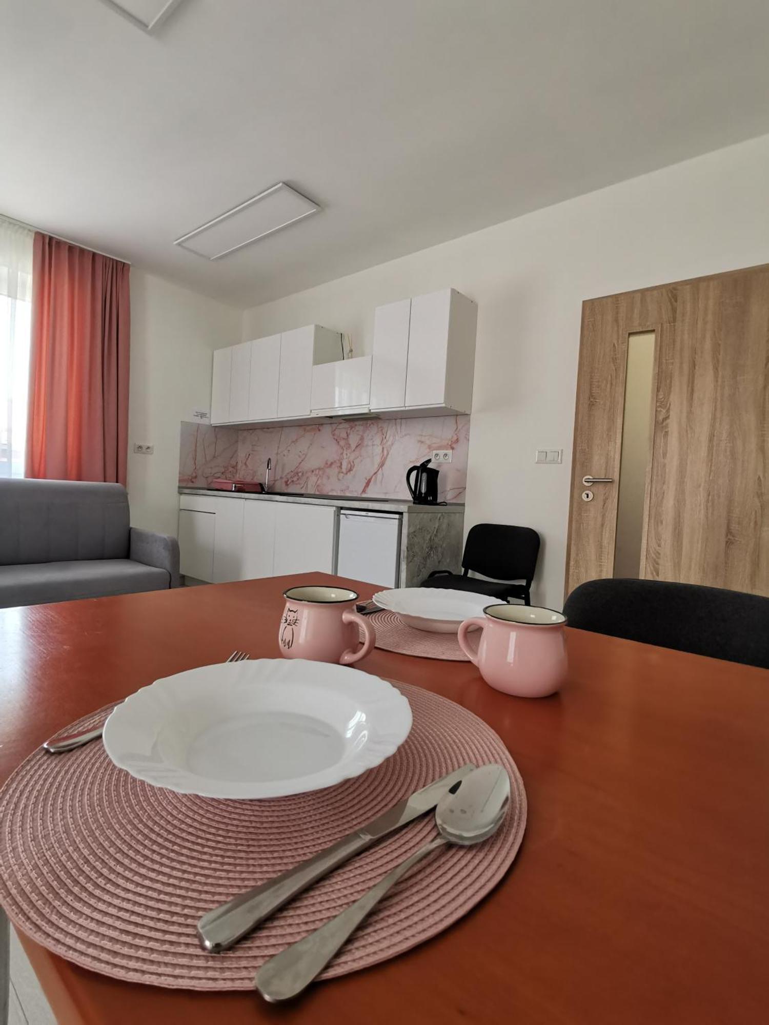 Comenius Apartments - Apartmany Na Rohu Svidnik Exterior photo